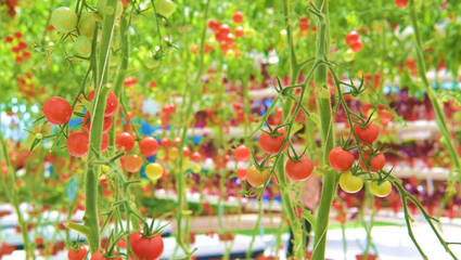 河北遷西:鄉村旅游成為鄉村振興&ldquo;新引擎&rdquo;