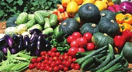 未來農業將是最賺錢的項目,神木農產品電子商務開發研究投資方案在這里