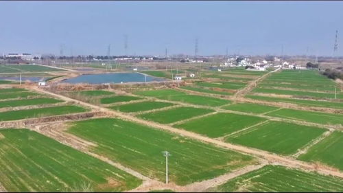 陳集鎮 順勢而為 趁勢而上 聚力打造工業強鎮農業大鎮旅游新鎮丨強村富民美鄉村 激活鄉村振興 源頭水