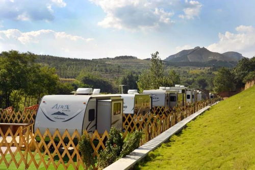 旅游 農業 健康產業一個都不能少,多種經營拓寬致富路