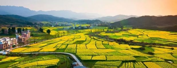 探討:如何鄉(xiāng)村振興?是靠農業(yè)主題公園還是田園綜合體項目?_旅游