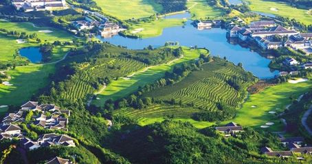 現(xiàn)代農業(yè)產業(yè)園:為什么能成為國家政策焦點?