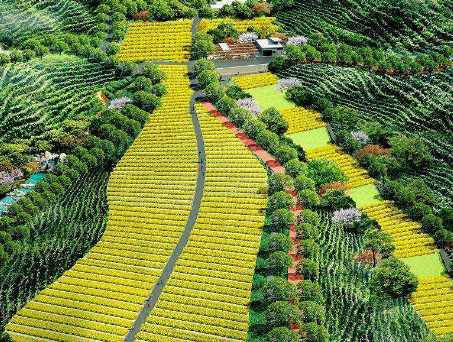 如何利用&ldquo;四荒地&rdquo;發(fā)展休閑農業(yè)與鄉(xiāng)村旅游?