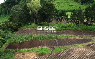 生態(tài)農(nóng)業(yè)旅游發(fā)展思路 生態(tài)農(nóng)業(yè)旅游是什么