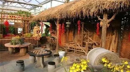 四種農民致富的行業,創新農業、養殖業、農產品加工業和農村旅游