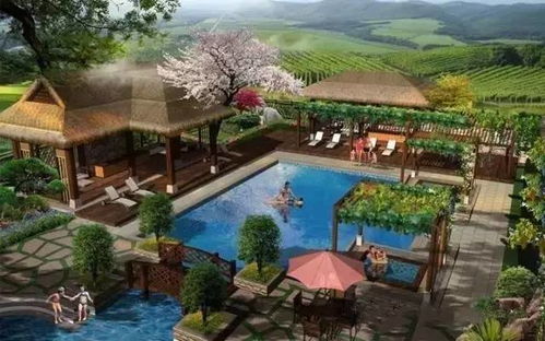 未來養生市場將達千億規模,休閑旅游開發如何抓住機遇