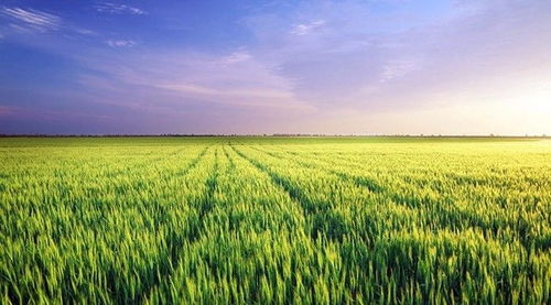 康養旅居 休閑農業 旅游地產,未來10年中國最大的投資機會