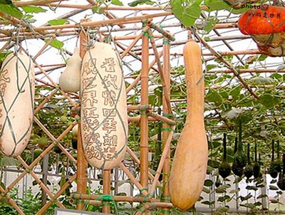 煙臺本地人告訴你開發區、福山區、牟平區有什么好玩