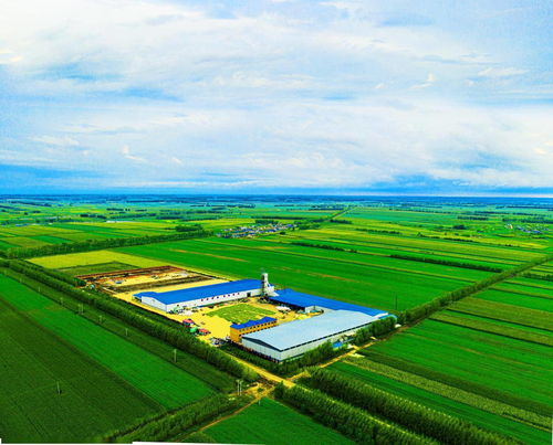 火爆俞敏洪直播間的北緯47度鮮玉米,藏著中國農業發展的未來