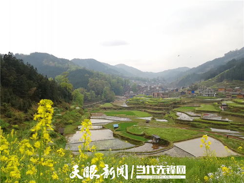 走出生態(tài)優(yōu)先綠色發(fā)展新路子 貴州堅(jiān)定不移推動(dòng)長江經(jīng)濟(jì)帶高質(zhì)量發(fā)展 三