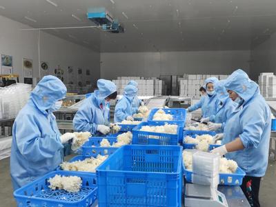 &ldquo;建黨百年 紅色追憶--全國網(wǎng)絡(luò)名人看商洛&rdquo;主題宣傳活動(dòng)走進(jìn)商州