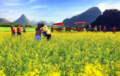 如何選址開(kāi)發(fā)休閑農(nóng)業(yè)?看鄉(xiāng)村旅游開(kāi)發(fā)的7大模式,29種類(lèi)型