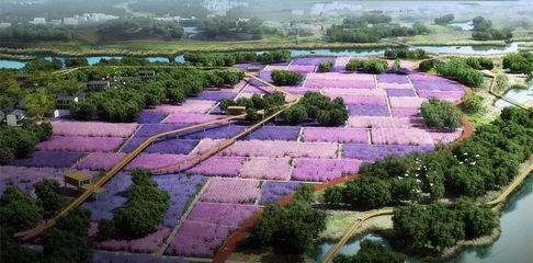 文博堂告訴你現(xiàn)代農(nóng)業(yè)產(chǎn)業(yè)園區(qū)開(kāi)發(fā)模式及五大運(yùn)營(yíng)模式!