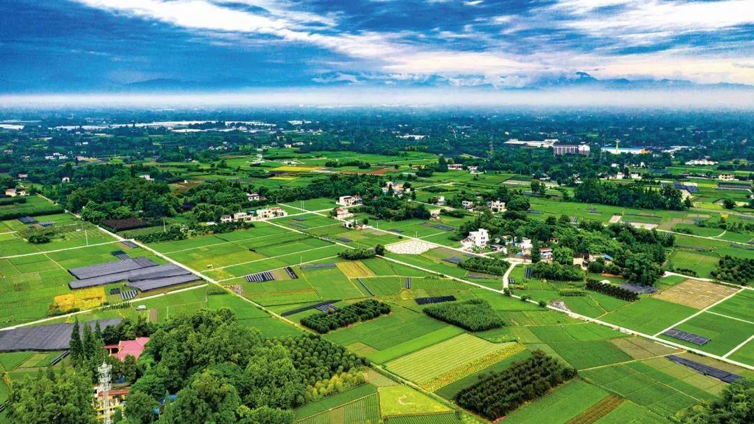 聯(lián)農(nóng)帶農(nóng)富農(nóng),助力鄉(xiāng)村振興 云南鹽津芭蕉村農(nóng)業(yè)開(kāi)發(fā)有限公.