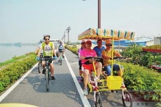 南海區(qū)人民政府門戶網(wǎng)站