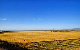 還說(shuō)我國(guó)農(nóng)藥殘留監(jiān)管不如國(guó)外 現(xiàn)已超過(guò)國(guó)際食品法典 雞蛋價(jià)格啥時(shí)候 蛋定 專家 節(jié)前沖高,節(jié)后回調(diào) 中科協(xié)揭秘8月 科學(xué)流言