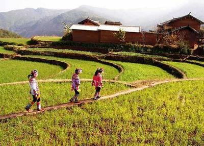 鄉(xiāng)村旅游開(kāi)發(fā)中的問(wèn)題分析