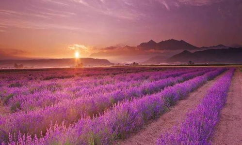 農莊變身休閑農業旅游景區該這么做