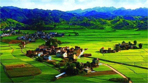 蛋先生 為何農(nóng)產(chǎn)品豐收即滯銷,農(nóng)民豐收就虧本