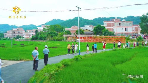 雙節 假期梧州旅游人次和旅游消費同比恢復超八成