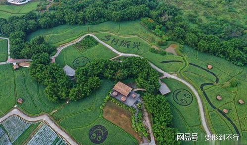 點贊！廣州從化四個特色小鎮擬納入省級培育庫，農業旅游開發譜寫新篇